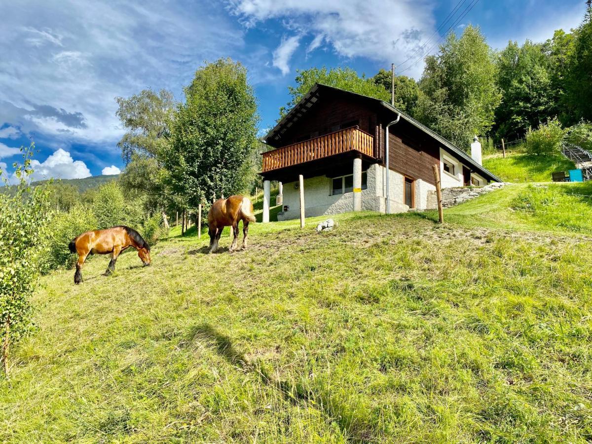 Eco Lodge With Jacuzzi And View In The Swiss Alps Grône Exterior foto